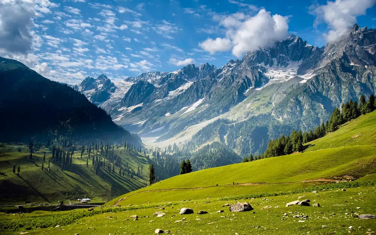 Sunlit alpine meadow beneath snow-capped Kashmir peaks